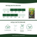 Торфосуміш  для зелених рослин і пальм COMPO SANA® 10л