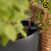 Вазон Lechuza CLASSICO Color ECO 43 темно сірий