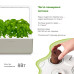 Smart Garden 3, бежевий