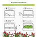 Картридж для розумної фермы Click&Grow, перець чилі