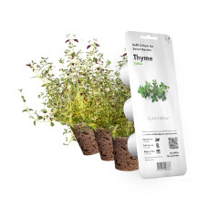 Картридж для розумної фермы Click&Grow, Чебрець Картридж для розумної фермы Click&Grow, Чебрець