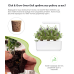 Картридж для розумної фермы Click&Grow, Лаванда