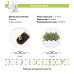 Картридж для розумної фермы Click&Grow, Лаванда