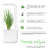 Картридж для розумної фермы Click&Grow, Цибуля зелена