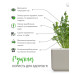 Картридж для розумної фермы Click&Grow, Рукола