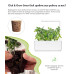 Картридж для розумної фермы Click&Grow, карликовий горошок