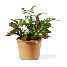 Глиняний вазон TERAPLAST MARTE 23 TERRA VIVA