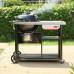 Вугільний гриль Weber Performer Premium