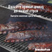 Пелетний гриль Weber SmokeFire EX4 GBS