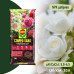 Торфосуміш COMPO SANA® для троянд 20 л