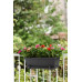 Піддон Elho barcelona trough saucer 70*3см, чорний						
