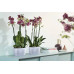 Горшик Elho brussels orchid duo 25х13,4 см прозорий						
