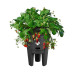 Горщик Elho green basics strawberry 33 см чорний						
