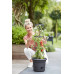 Горщик Elho green basics tomatentopf 33 см чорний						
