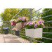 Вазон Lechuza Balconera Color 50, сірий Вазон Lechuza Balconera Color 50, сірий