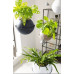 Вазон Lechuza Bola Color 23, сірий Вазон Lechuza Bola Color 23, сірий