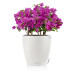 Вазон Lechuza Classico Color 28, білий