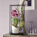 Вазон Lechuza Orchidea 20, білий Вазон Lechuza Orchidea 20, білий
