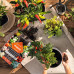 Субстрат Lechuza VEGGIE-PON 12л