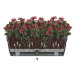 Вазон Santino Asti Window Box 12 л, 50х17х20см, антрацит-білий