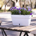 Вазон Santino Asti Window Box 12 л, 50х17х20см, білий-чорний Вазон Santino Asti Window Box 12 л, 50х17х20см, білий-чорний