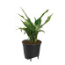 Вставка з автополивом Elho Self-Watering Insert 15 см, чорна