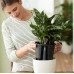 Вставка з автополивом Elho Self-Watering Insert 15 см, чорна