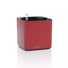 Вазон Lechuza CUBE Premium 14, червоний матовий