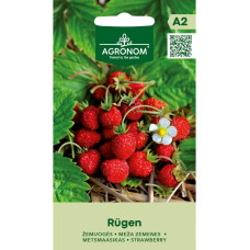 Насіння Agronom суниця Рюген 0,1 г