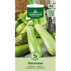 Насіння Agronom кабачок Дженовезе 1,5 г